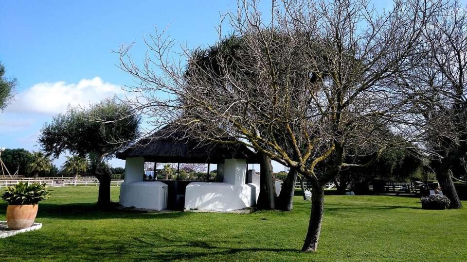 Гостевой дом Cortijo El Indiviso Вьер де ла Фронтера Экстерьер фото